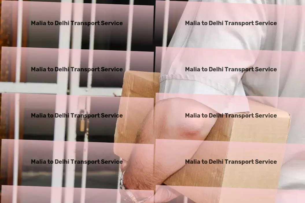 Malia to Delhi Courier And Parcel Expert insights, superior delivery - that's our promise in India. - Specialized package delivery