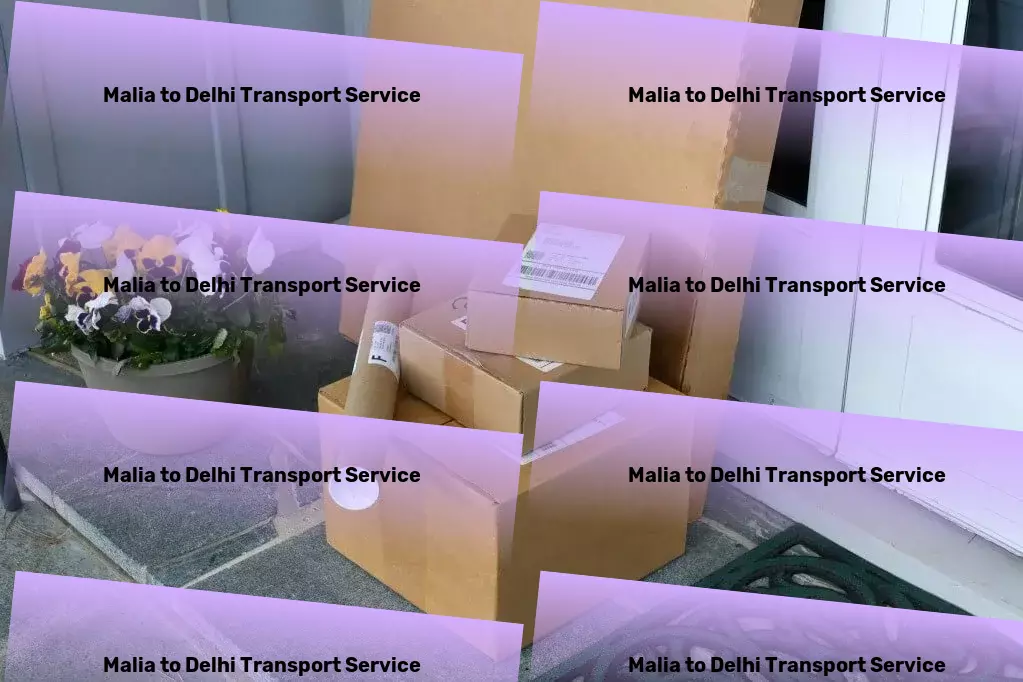 Malia to Delhi Courier And Parcel High-speed logistics solutions